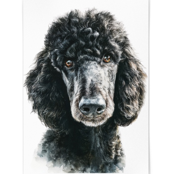 Watercolor Black Poodle Portrait Wall Art Print Poster, Unframed - Pet Artwork - Picture 2 of 6